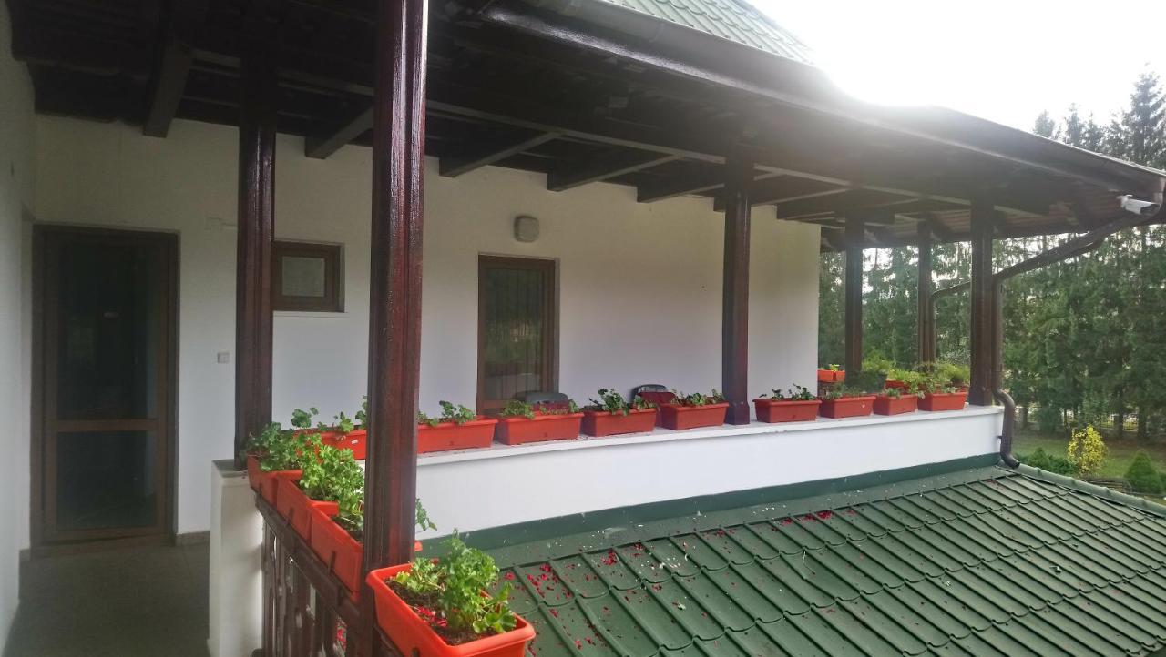 Гостевой дом Casa "Ierusalim-Hozeva-Hozeva" Minastirea Neamt Экстерьер фото
